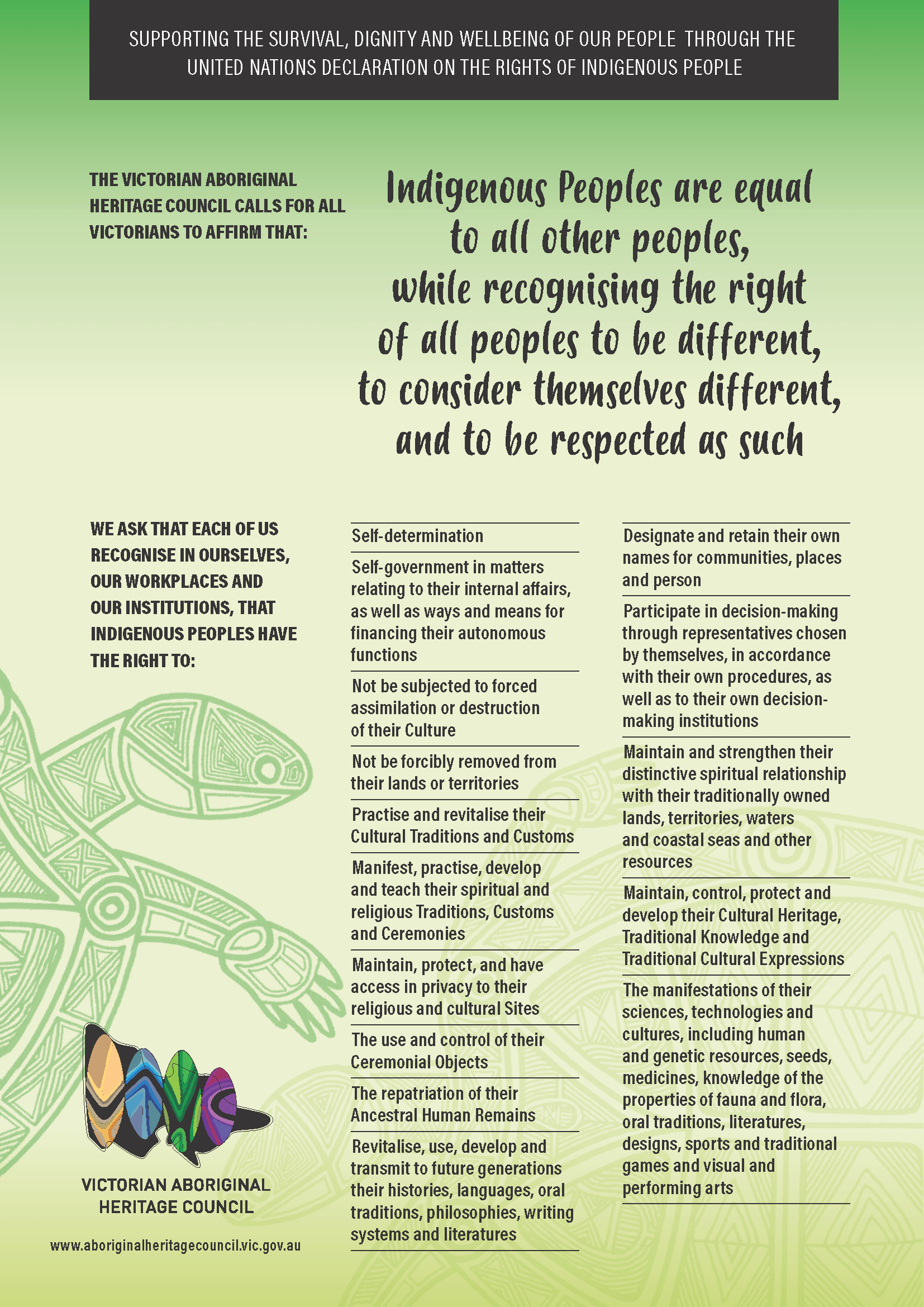 VAHC UNDRIP Poster green